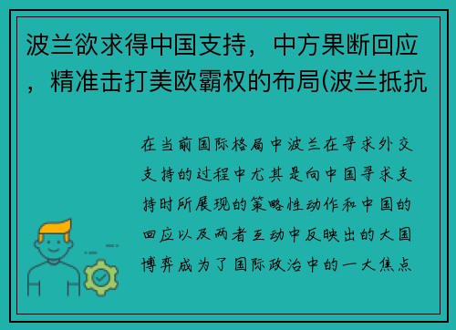 波兰欲求得中国支持，中方果断回应，精准击打美欧霸权的布局(波兰抵抗)