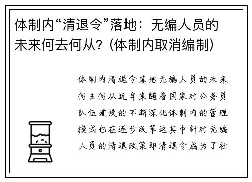 体制内“清退令”落地：无编人员的未来何去何从？(体制内取消编制)