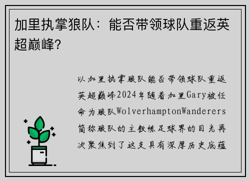 加里执掌狼队：能否带领球队重返英超巅峰？