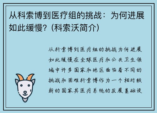 从科索博到医疗组的挑战：为何进展如此缓慢？(科索沃简介)